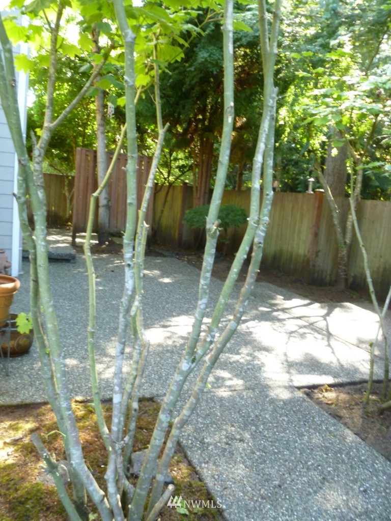 3106 200th Place Southeast Bothell, WA 98012 - Photo 10 of 11