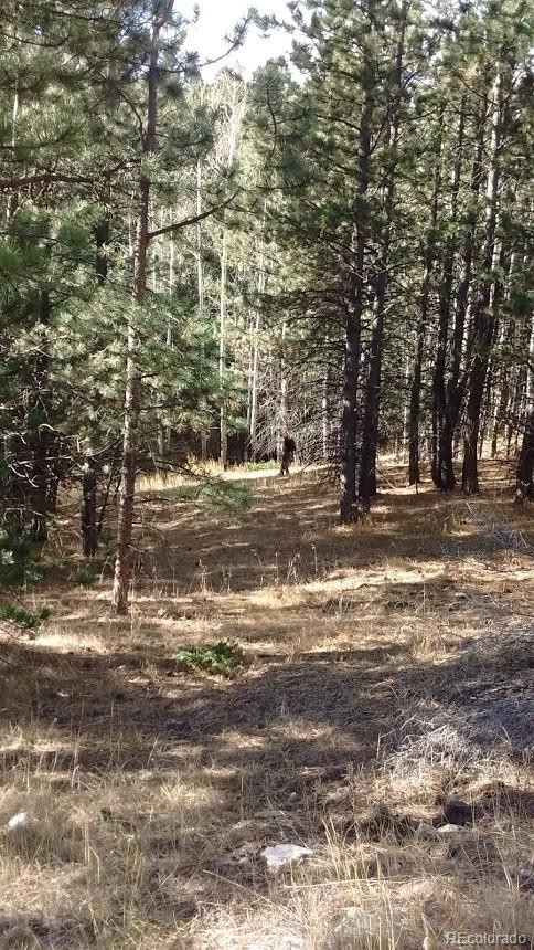 Old Townsite Road Boulder, CO 80302 - Photo 12 of 35 Gallery Image 12
