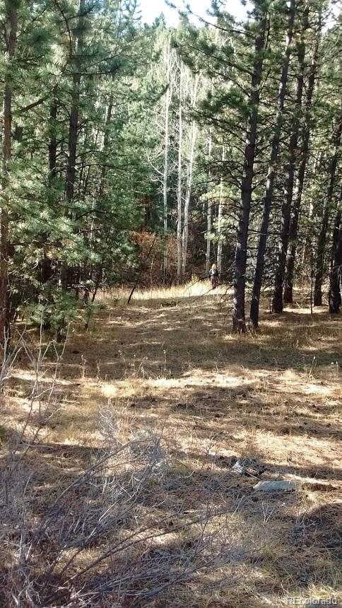 Old Townsite Road Boulder, CO 80302 - Photo 13 of 35 Gallery Image 13
