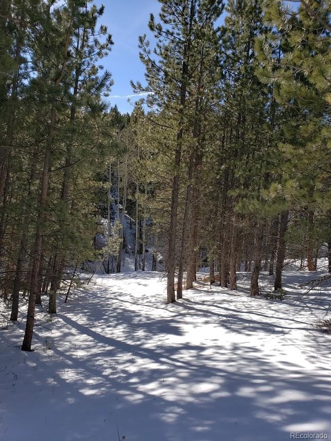 Old Townsite Road Boulder, CO 80302 - Photo 14 of 35 Gallery Image 14