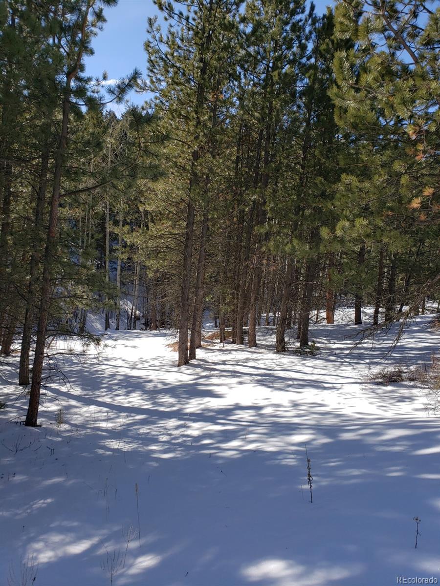 Old Townsite Road Boulder, CO 80302 - Photo 17 of 35 Gallery Image 17