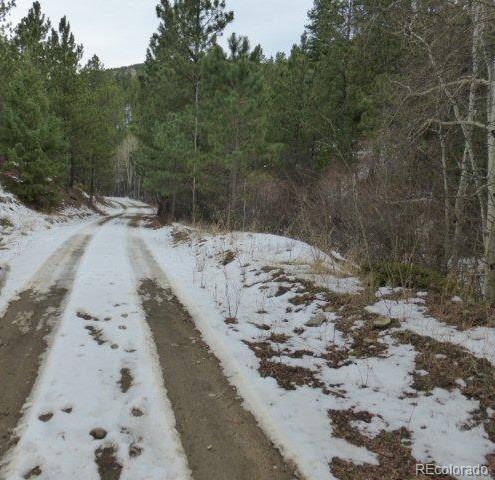Old Townsite Road Boulder, CO 80302 - Photo 22 of 35 Gallery Image 22