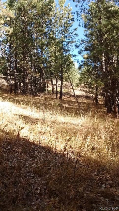 Old Townsite Road Boulder, CO 80302 - Photo 27 of 35 Gallery Image 27