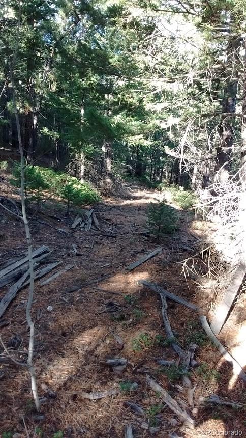 Old Townsite Road Boulder, CO 80302 - Photo 33 of 35 Gallery Image 33