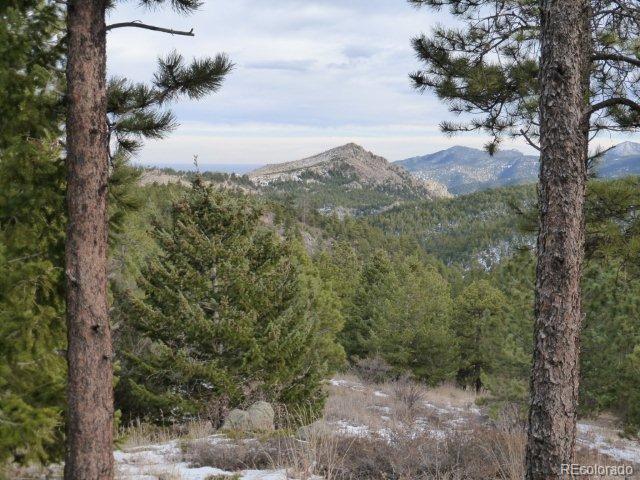 Old Townsite Road Boulder, CO 80302 - Photo 4 of 35 Gallery Image 4
