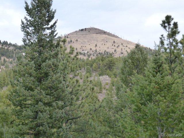 Old Townsite Road Boulder, CO 80302 - Photo 5 of 35 Gallery Image 5