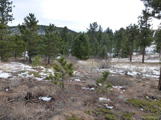 Old Townsite Road Boulder, CO 80302 - Photo 6 of 35 Gallery Image 6