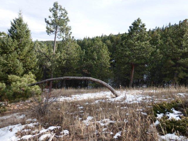 Old Townsite Road Boulder, CO 80302 - Photo 7 of 35 Gallery Image 7