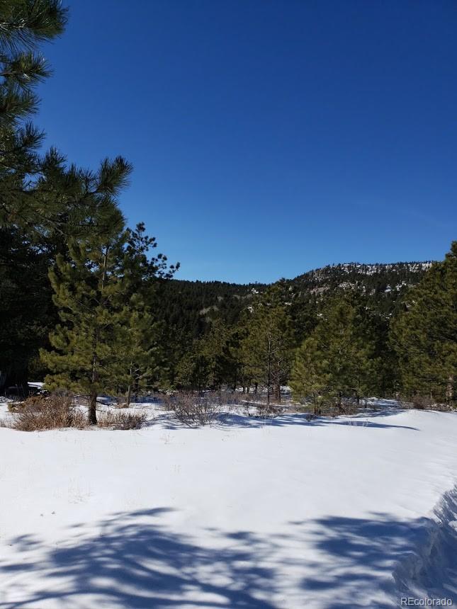 Old Townsite Road Boulder, CO 80302 - Photo 8 of 35 Gallery Image 8