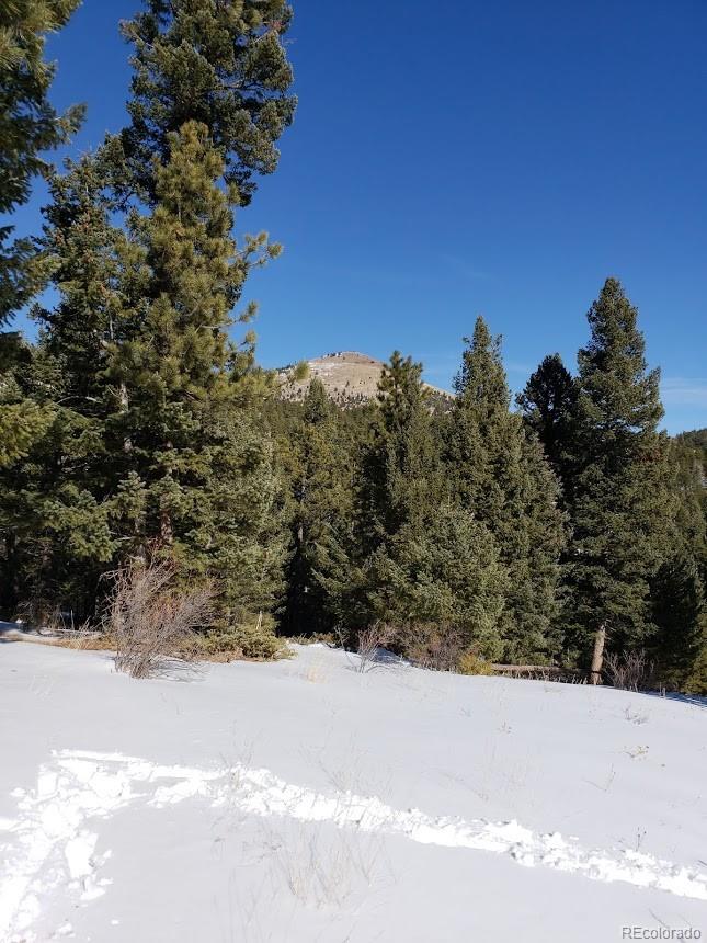 Old Townsite Road Boulder, CO 80302 - Photo 9 of 35 Gallery Image 9