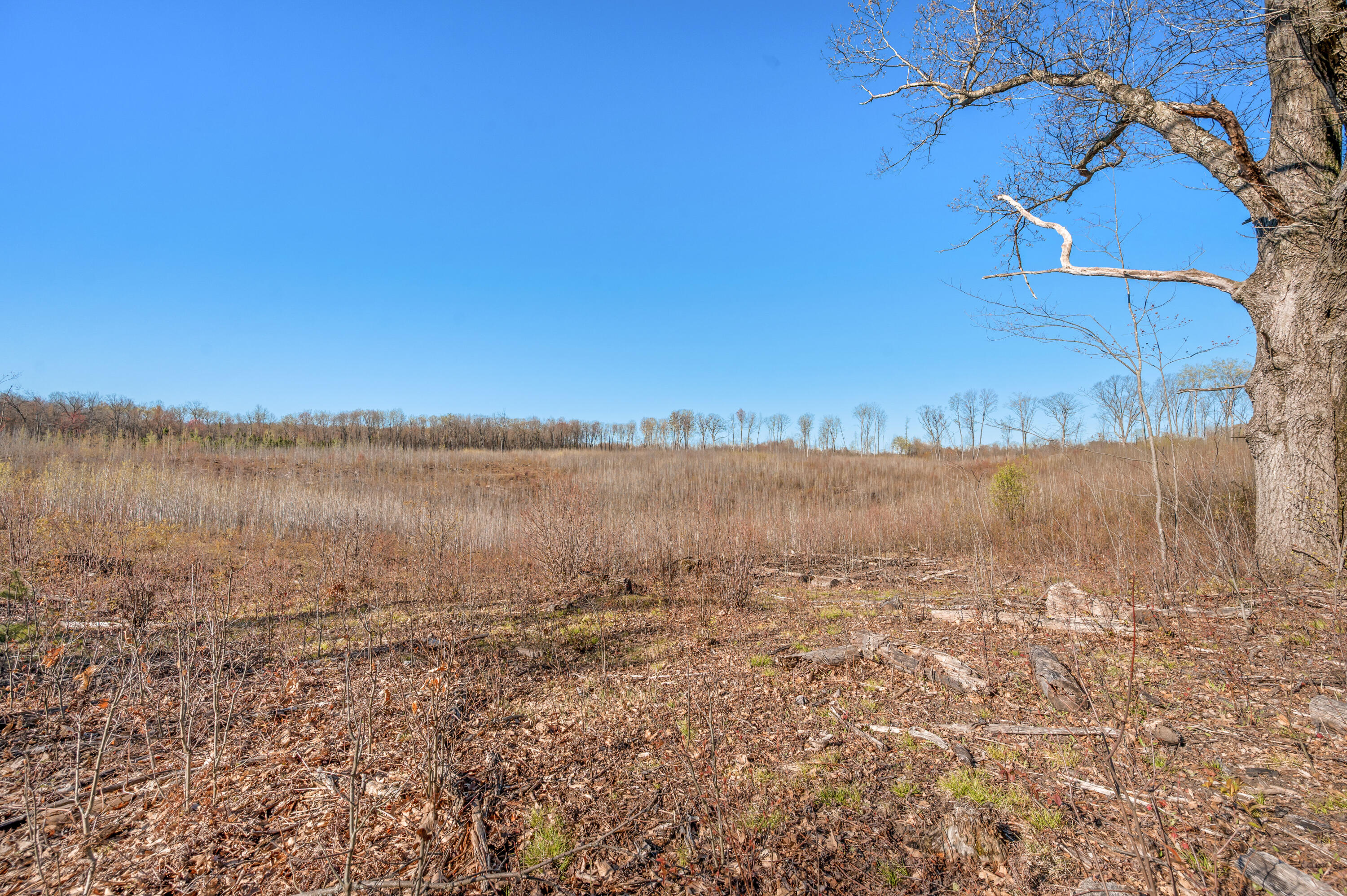16107 12 Mile Road Leroy, MI 49655 - Photo 33 of 40 16107-12MileRd-Leroy-29