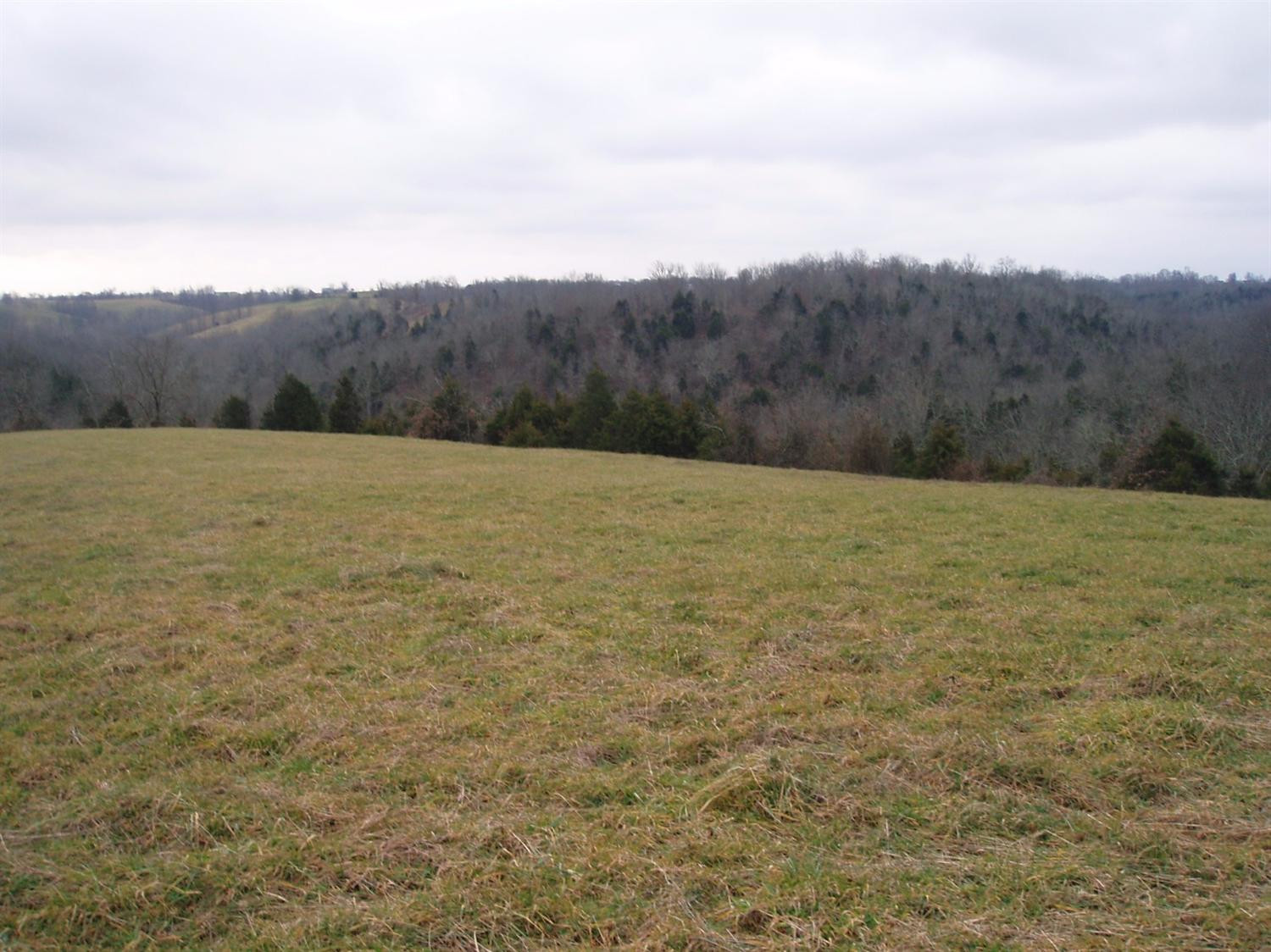 1446 Cook Ridge Road Brooksville, KY 41004 - Photo 5 of 22 Gallery Image 5