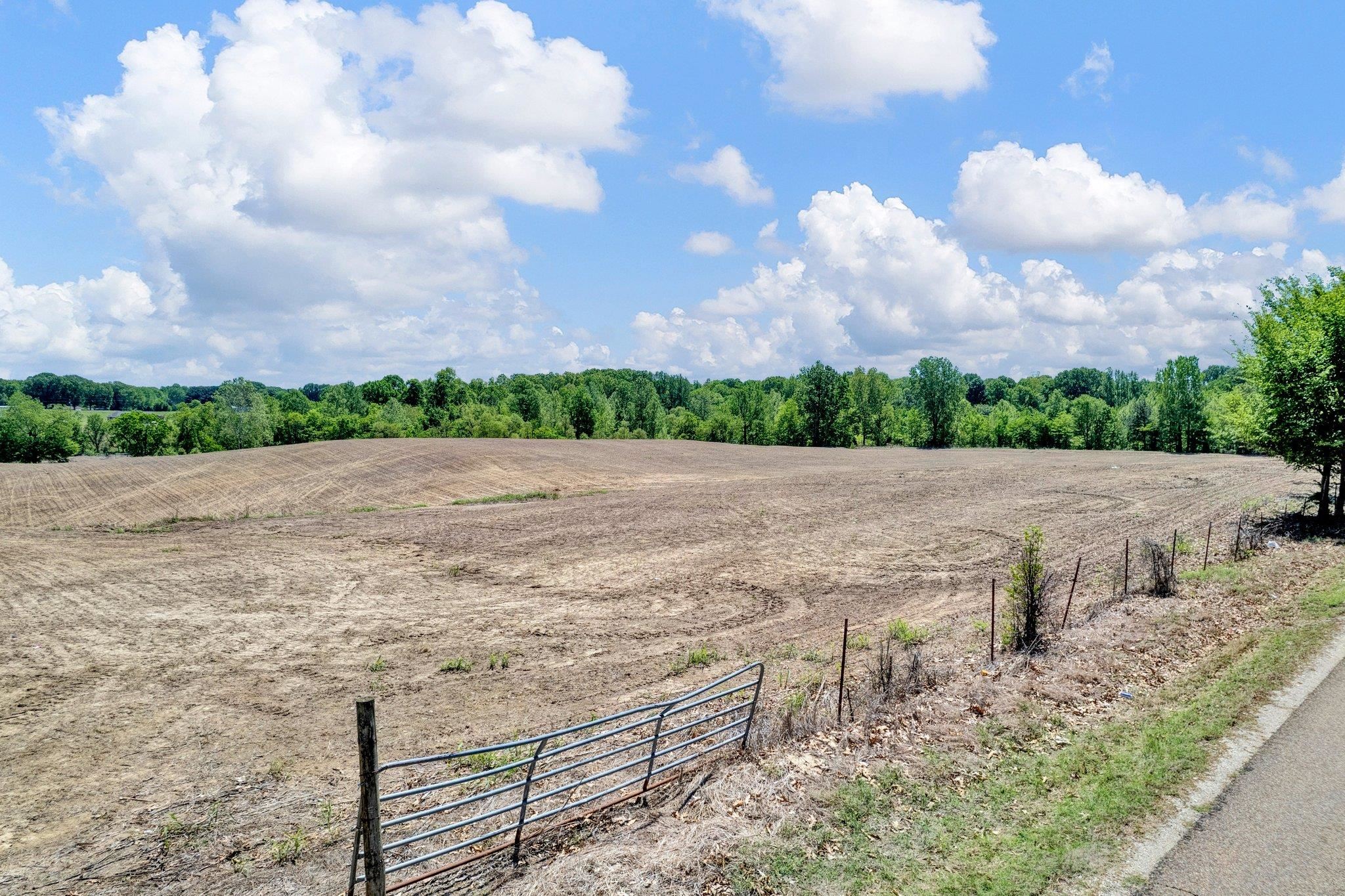0 Bucksnort Road Covington, TN 38019 - Photo 2 of 37 Gallery Image 2