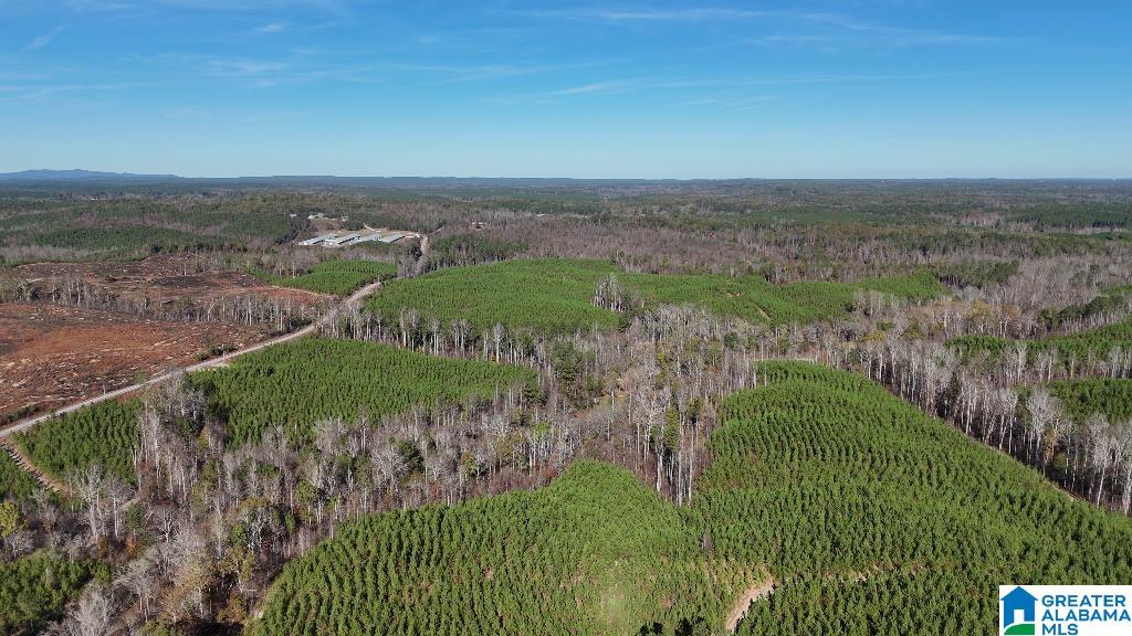 0 County Road 65 Fruithurst, AL 36262 - Photo 10 of 14