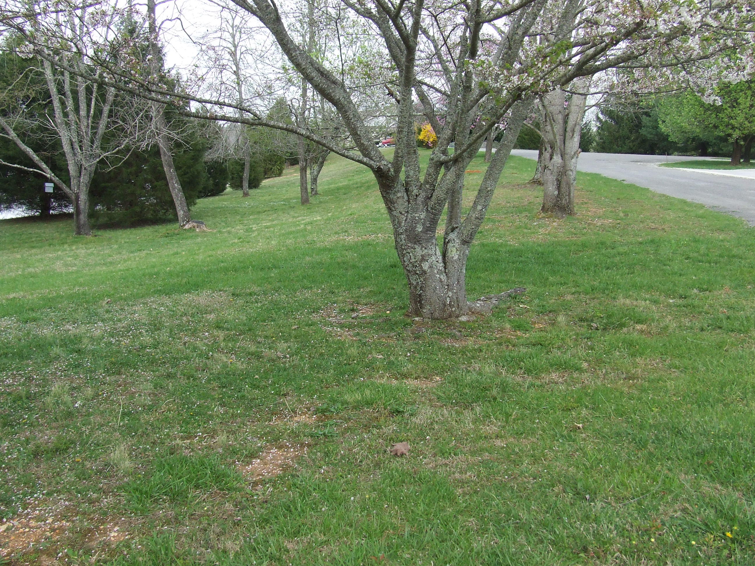 192 Peninsula Road, Unit 30 Spring City, TN 37381 - Photo 20 of 22 houseextralot