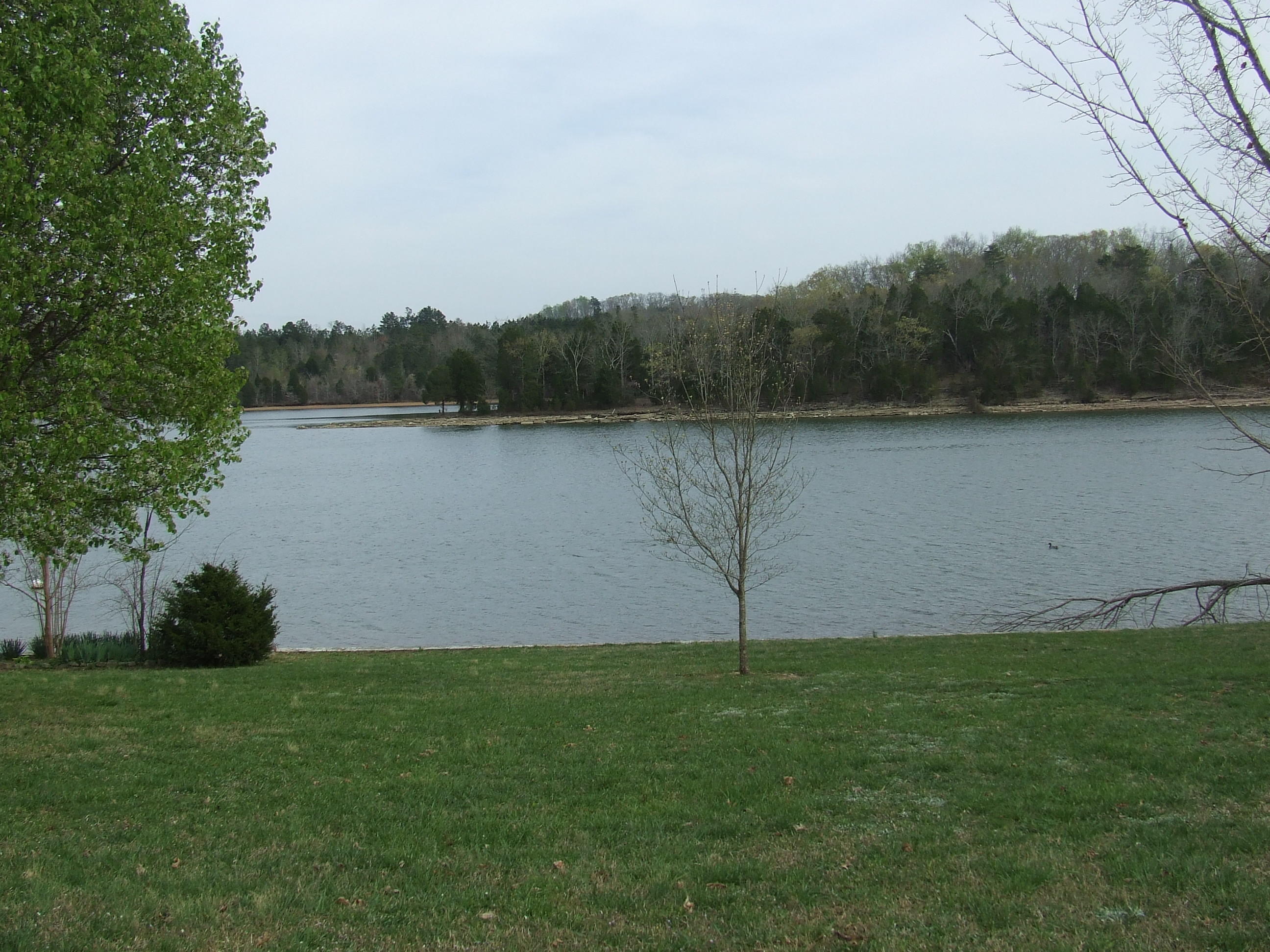 192 Peninsula Road, Unit 30 Spring City, TN 37381 - Photo 8 of 22 DSCF6702
