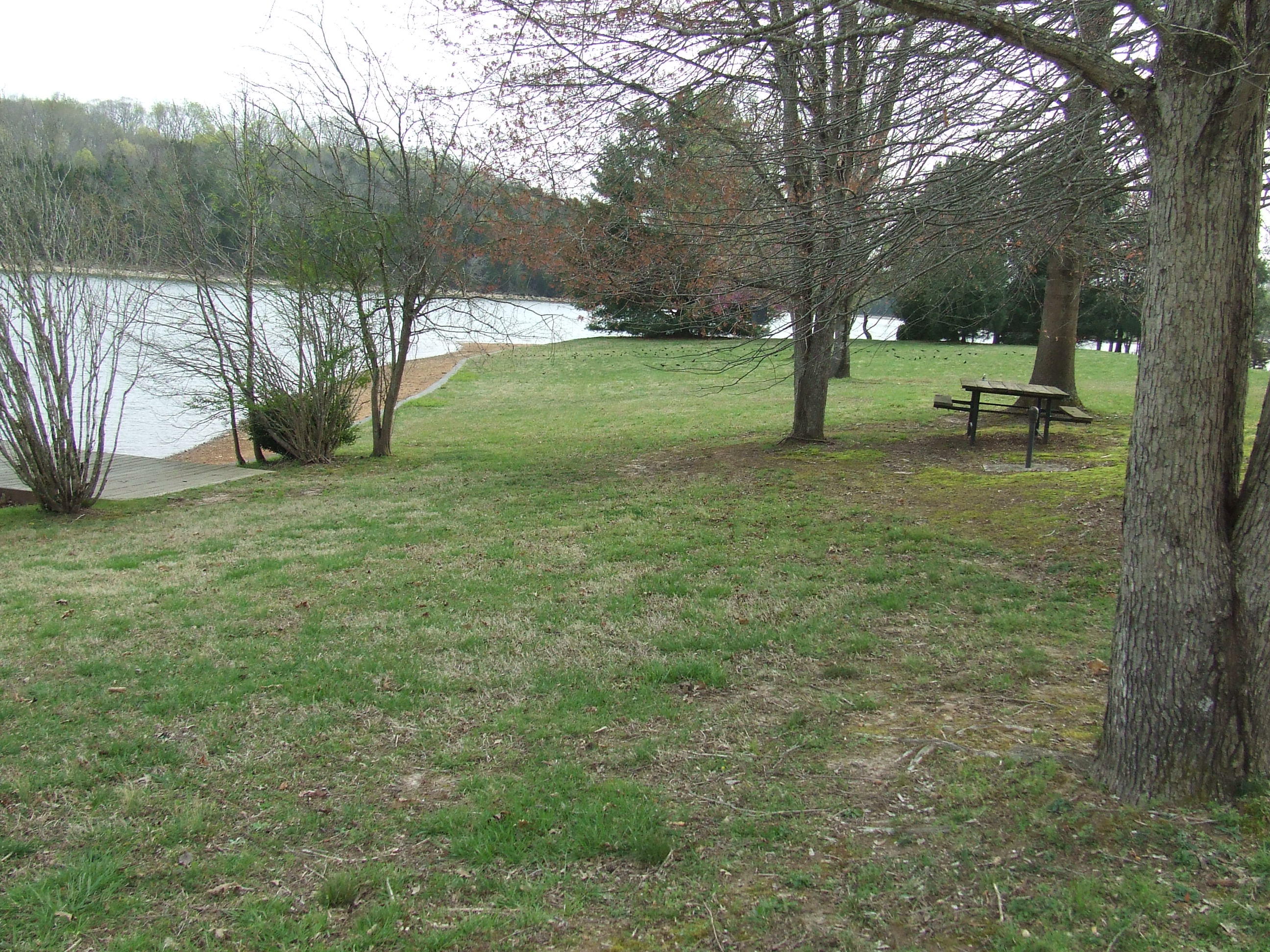 192 Peninsula Road, Unit 30 Spring City, TN 37381 - Photo 9 of 22 DSCF6703