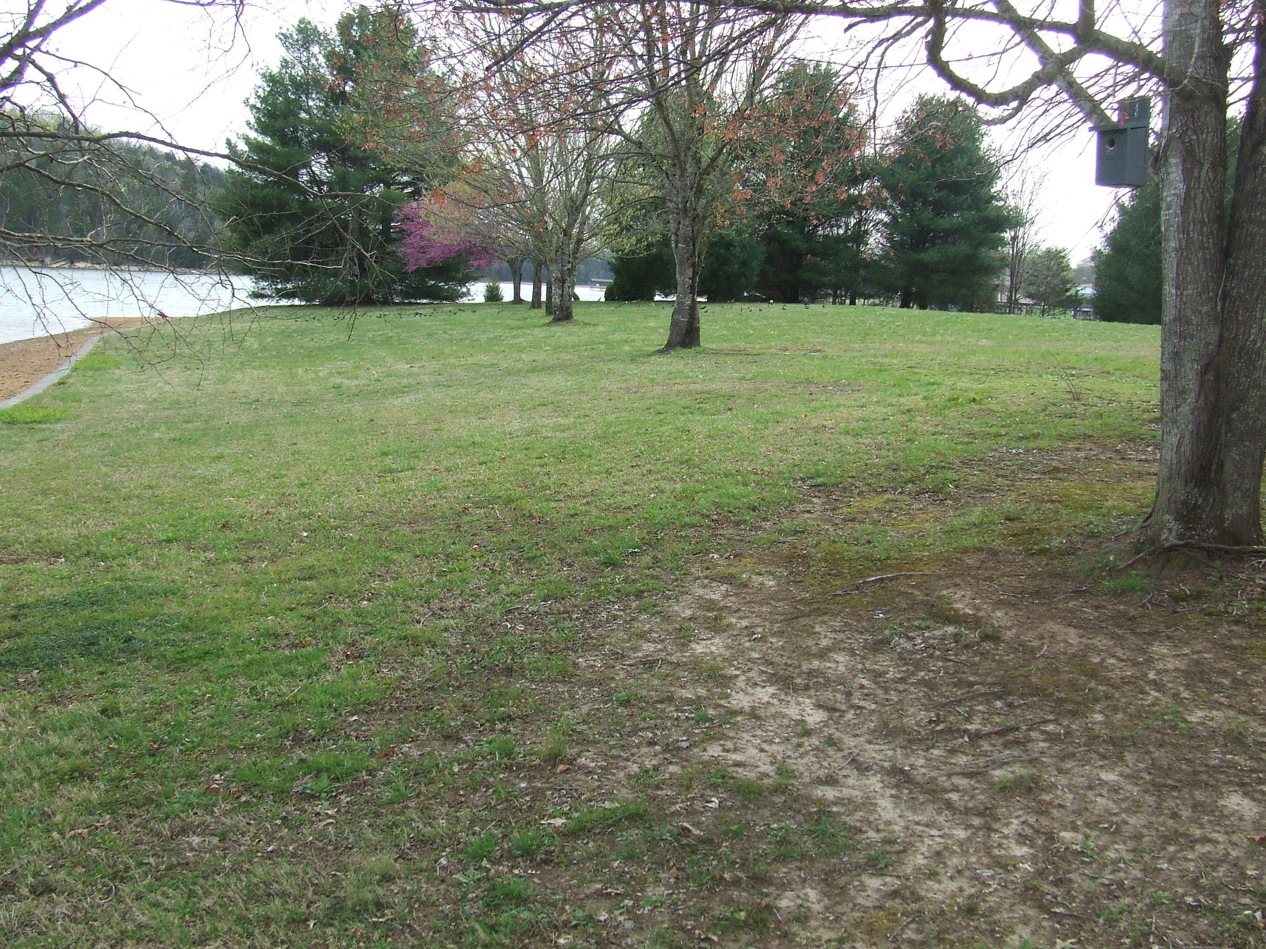 192 Peninsula Road, Unit 30 Spring City, TN 37381 - Photo 10 of 22 DSCF6704