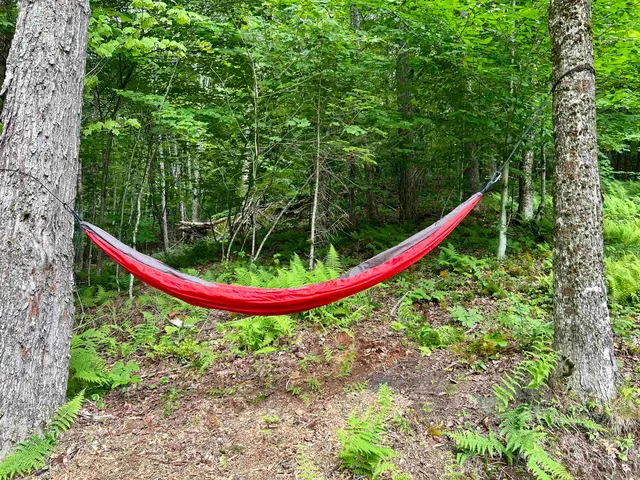 $349,900 | 670 Wayeeses Shore Rd Morgan Road, West Charleston, VT 05872