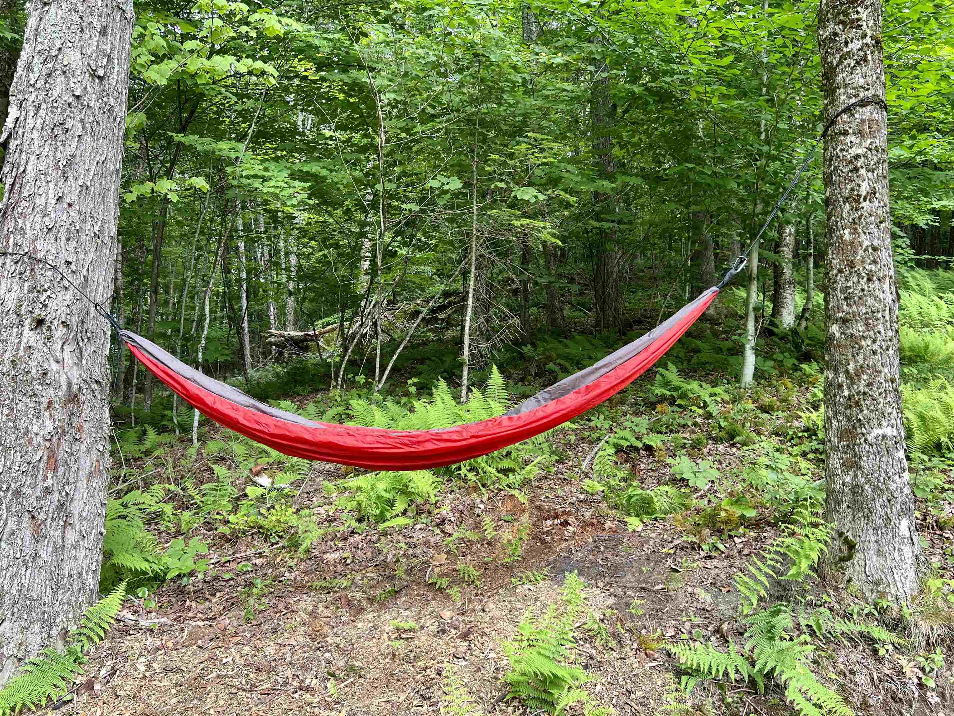 670 Wayeeses Shore Rd Morgan Road West Charleston, VT 05872 - Photo 25 of 48