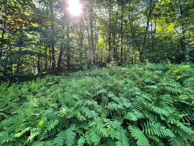 $349,900 | 670 Wayeeses Shore Rd Morgan Road, West Charleston, VT 05872