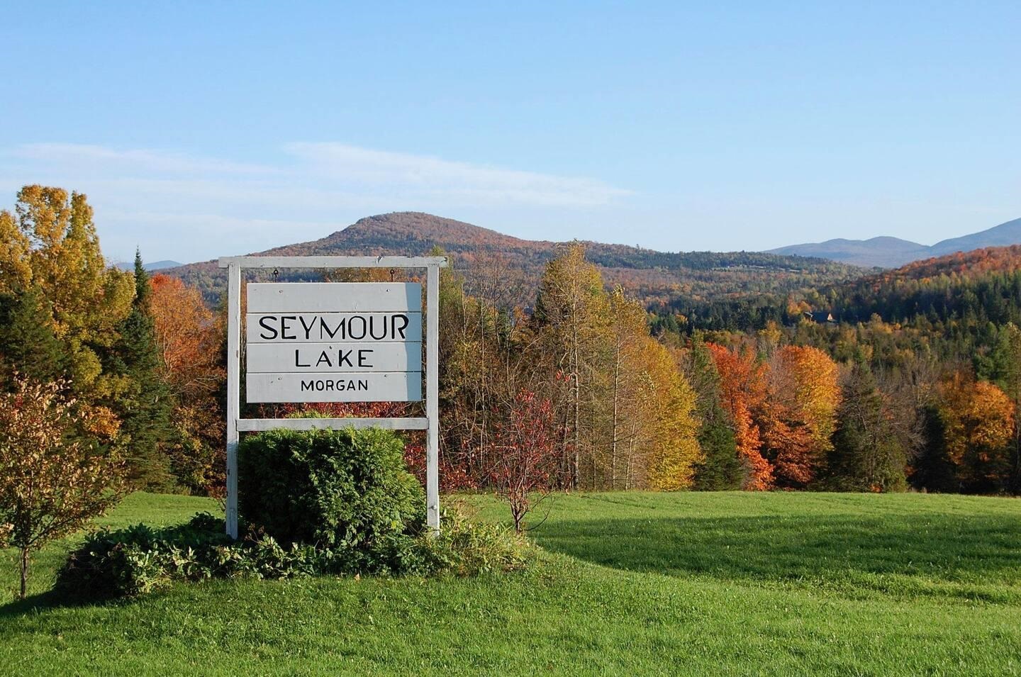 670 Wayeeses Shore Rd Morgan Road West Charleston, VT 05872 - Photo 44 of 48