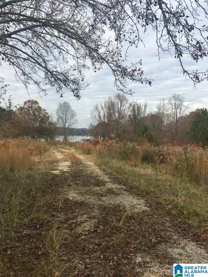 0 County Road 520, Unit 3 Centre, AL 35960 - Photo 2 of 2