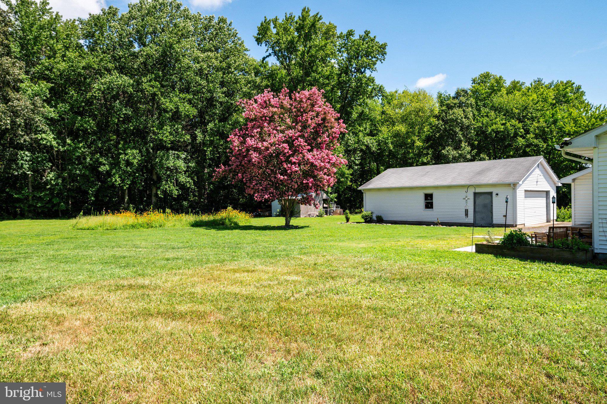 305 Merrick Corner Road Church Hill, MD 21623 - Photo 37 of 40 Gallery Image 37