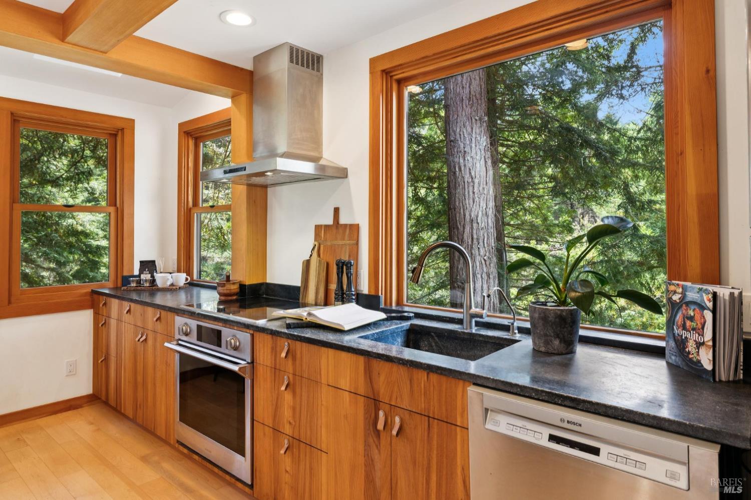 380 Larch Road Bolinas, CA 94924 - Photo 10 of 22 Gallery Image 10