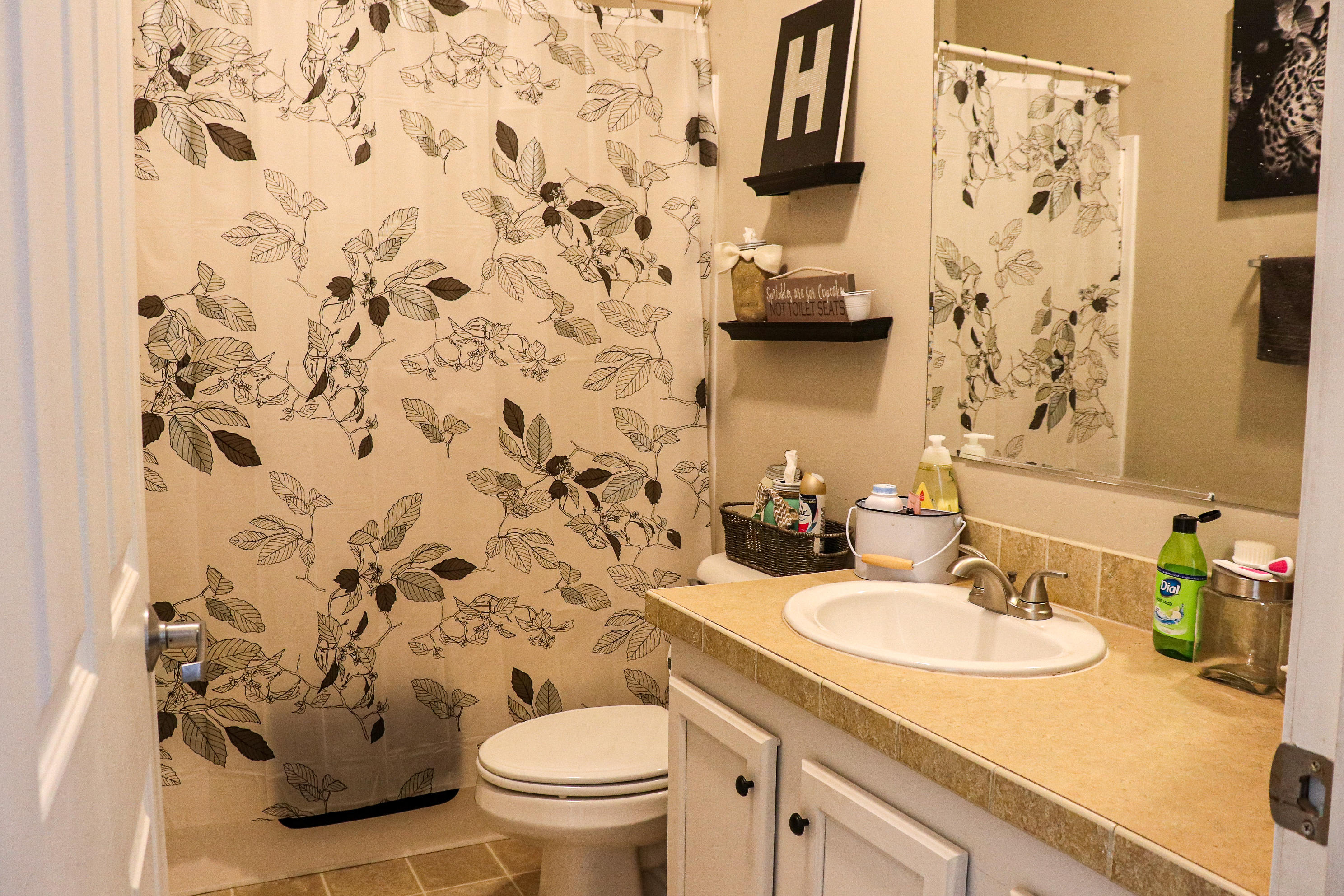 241 Sams Road Southeast Floyd, VA 24091 - Photo 17 of 28 a bathroom with a granite countertop sink and a toilet