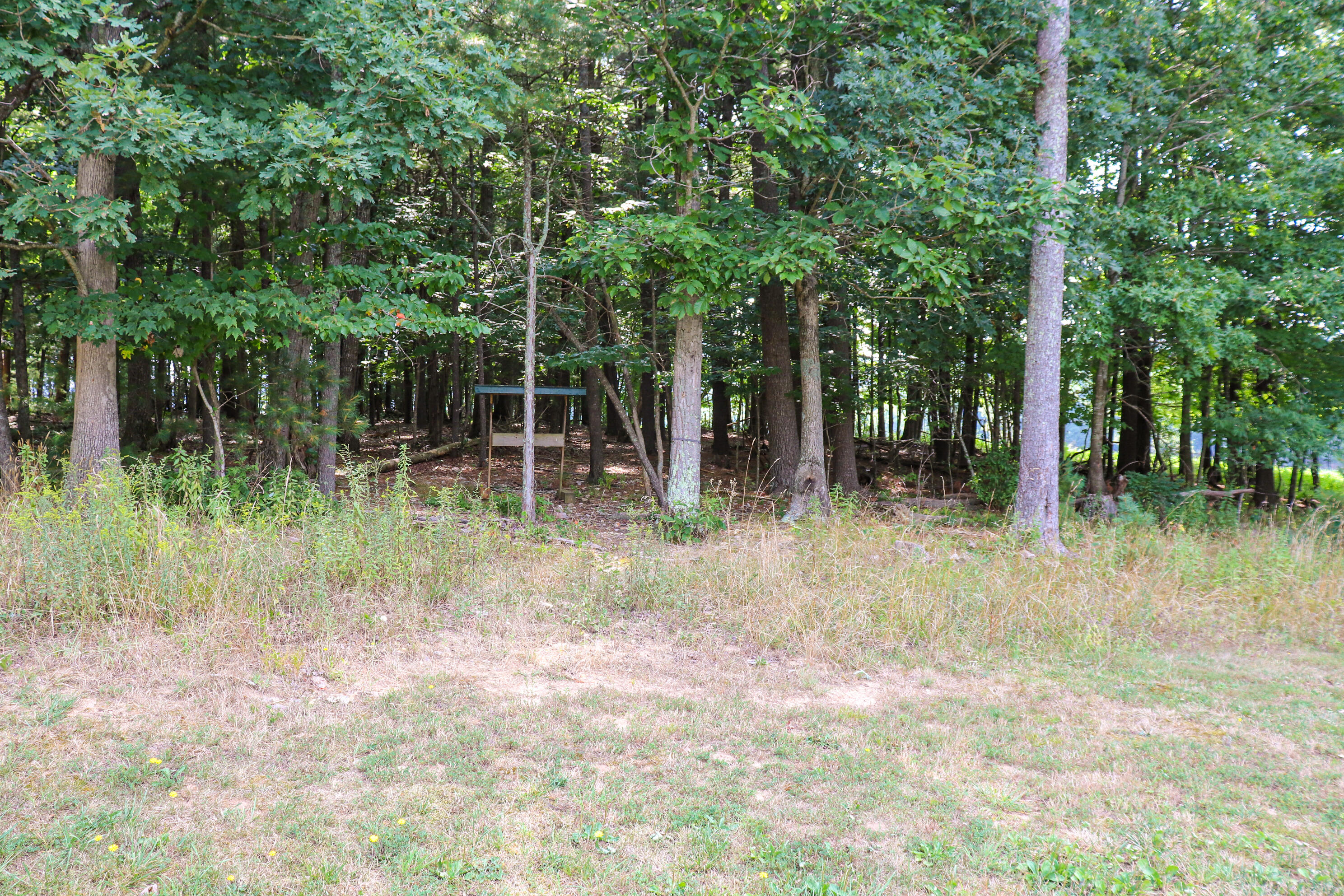 241 Sams Road Southeast Floyd, VA 24091 - Photo 25 of 28 a view of outdoor space and yard