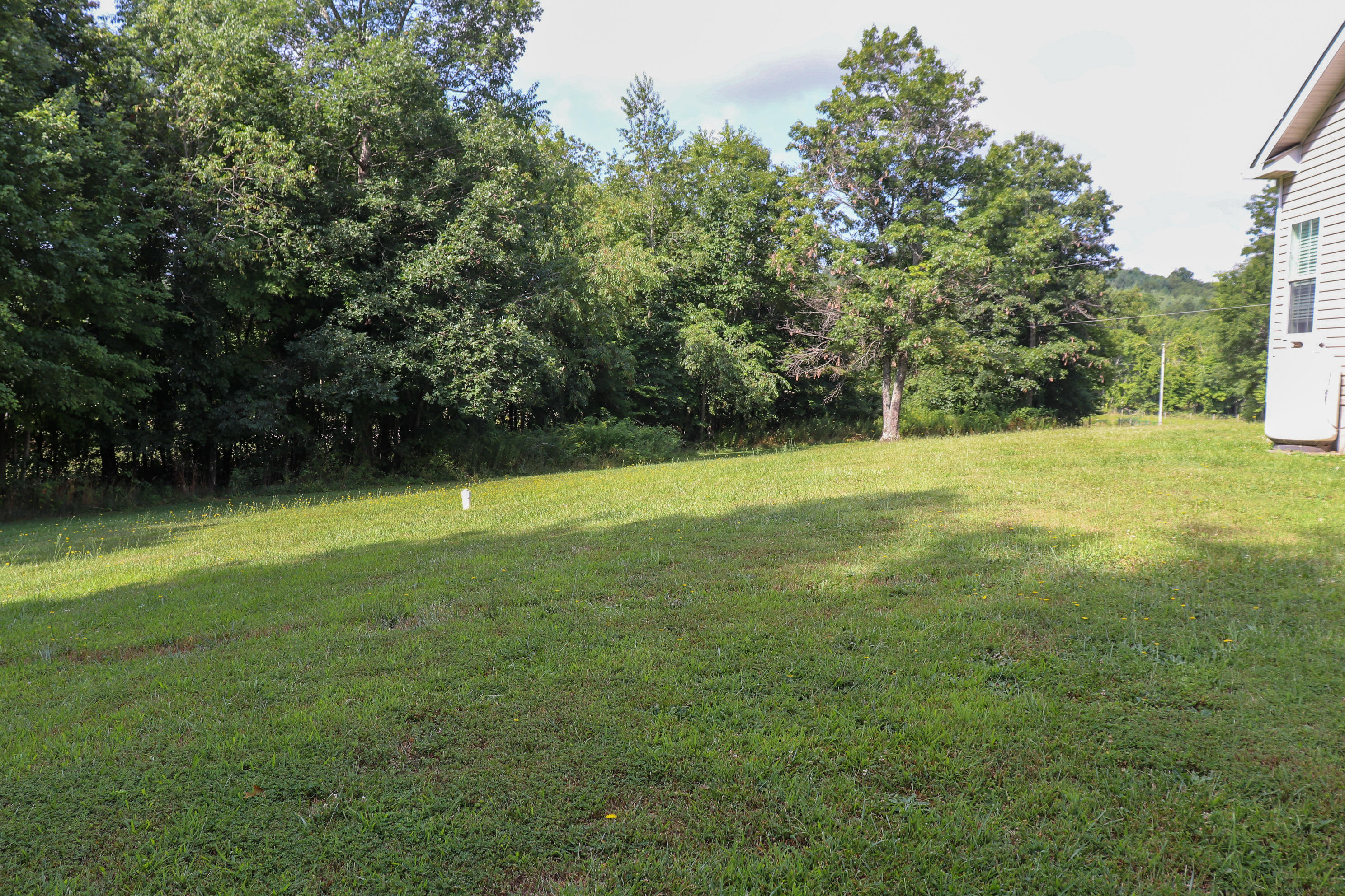241 Sams Road Southeast Floyd, VA 24091 - Photo 26 of 28 a view of outdoor space with a garden and trees