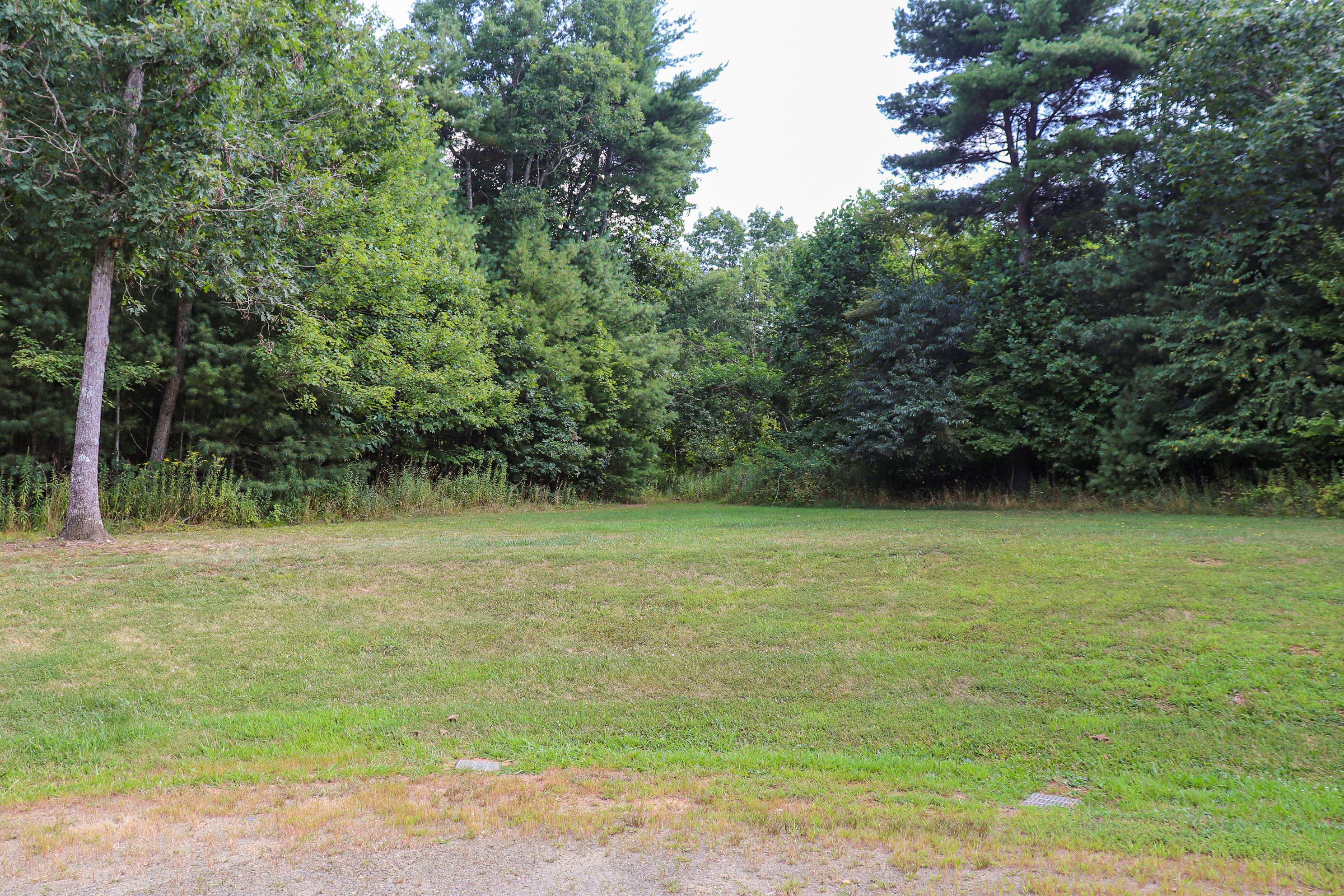 241 Sams Road Southeast Floyd, VA 24091 - Photo 27 of 28 a view of a field with a trees