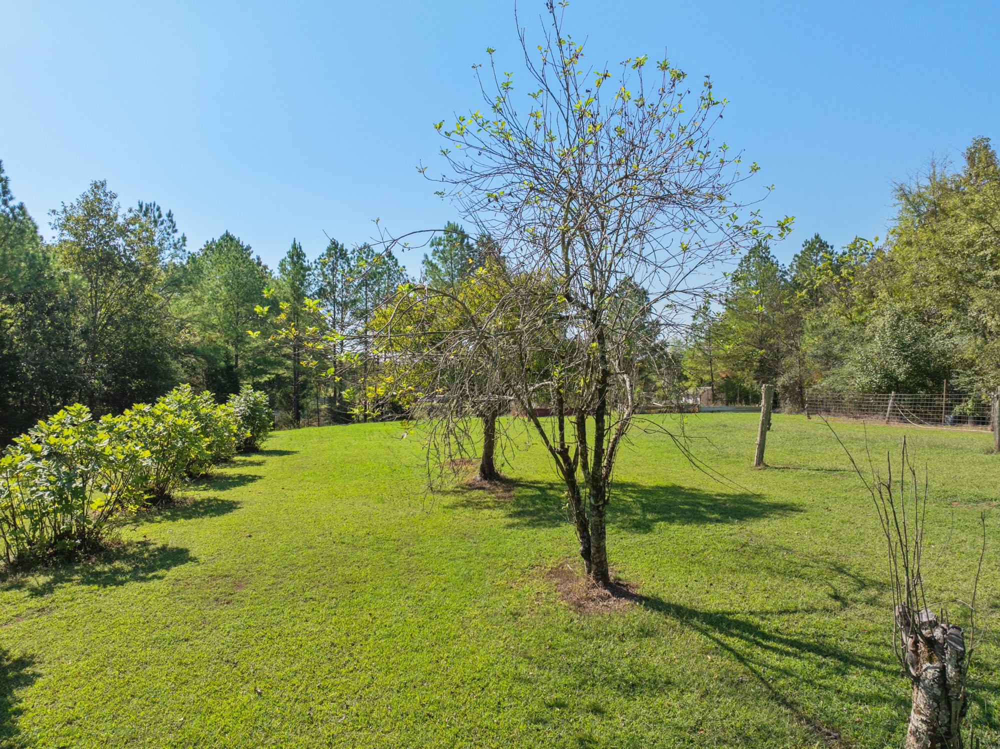 0 Mt Carmel Road Decaturville, TN 38329 - Photo 11 of 17