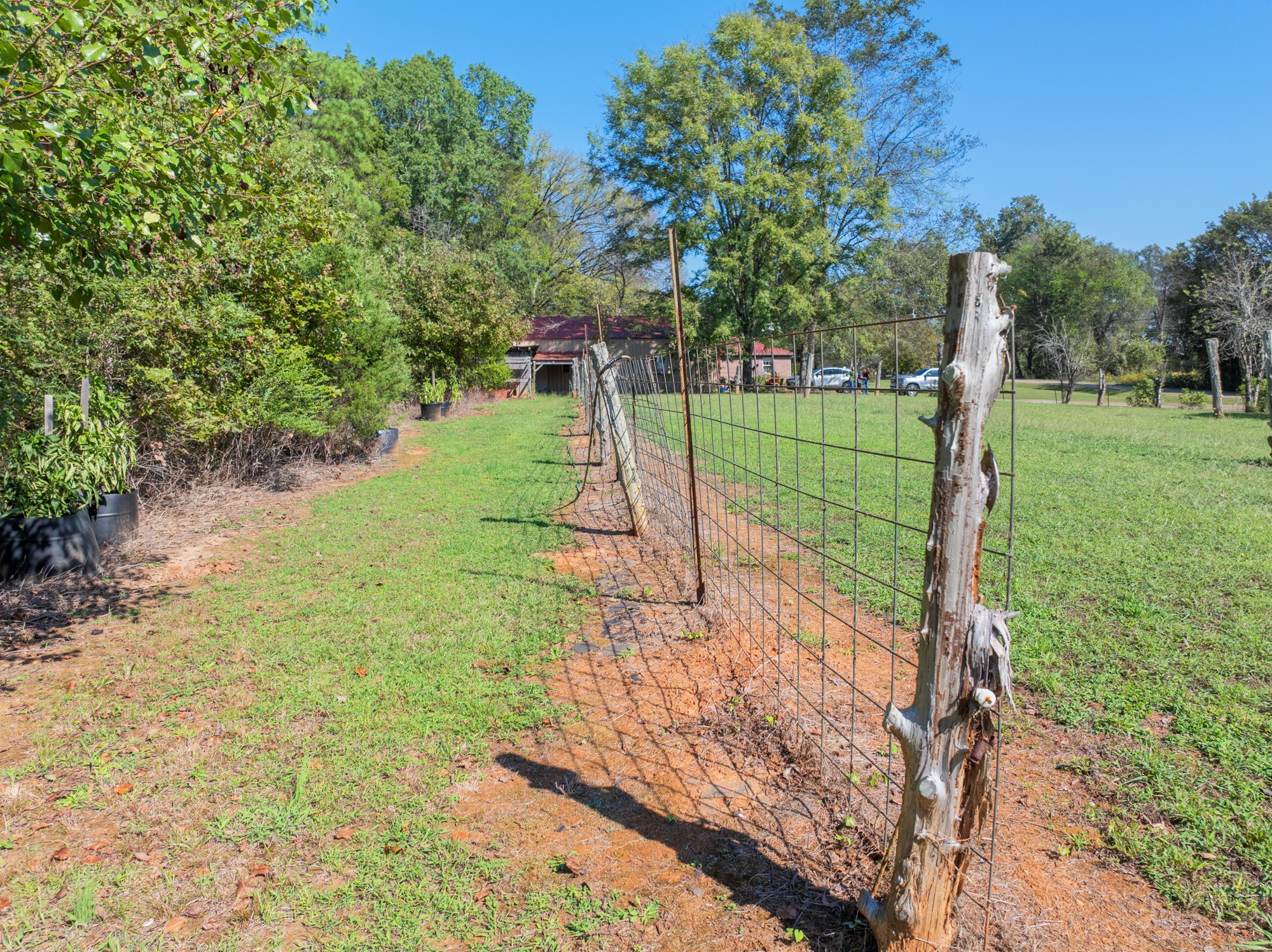 0 Mt Carmel Road Decaturville, TN 38329 - Photo 13 of 17