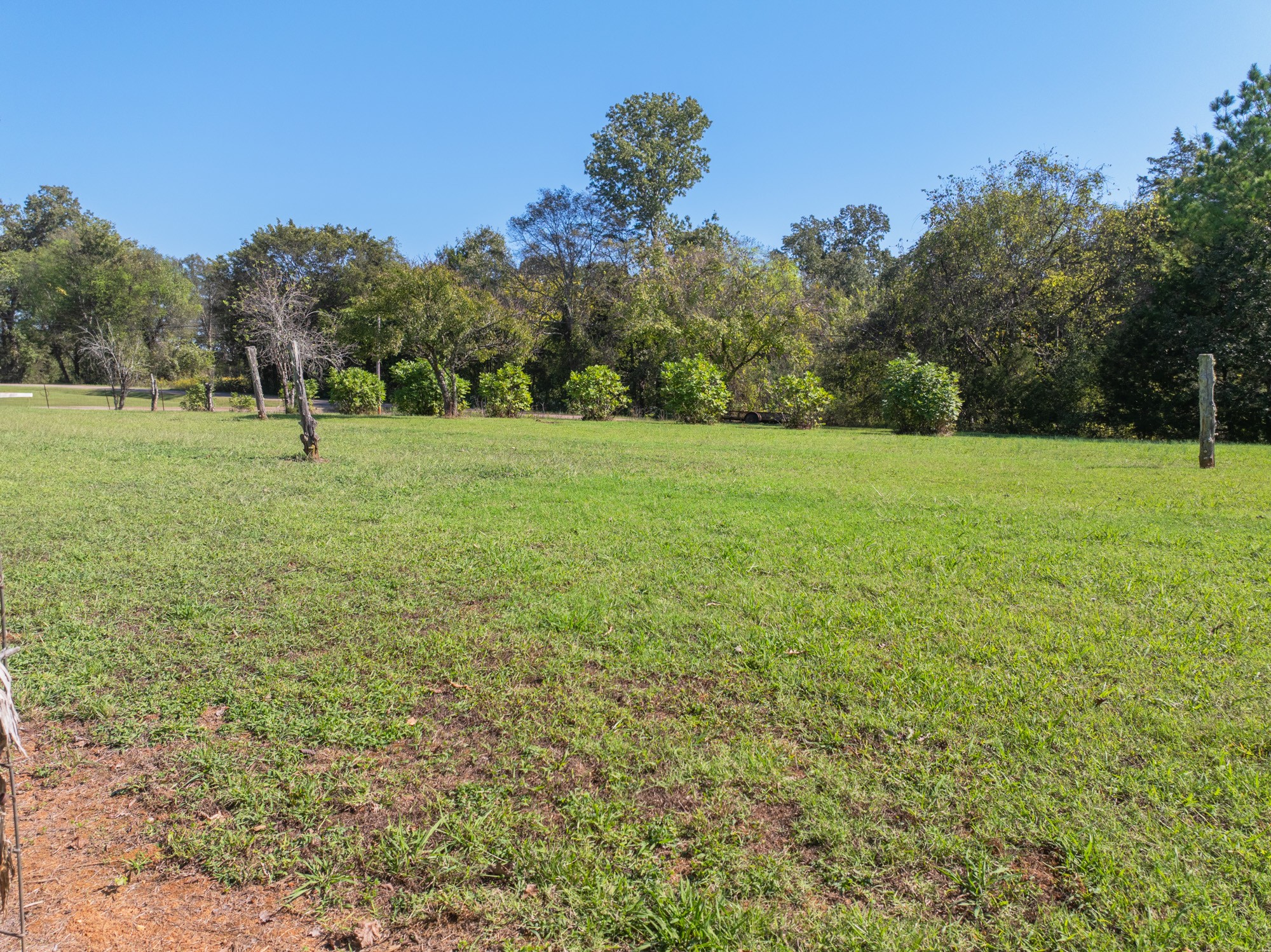 0 Mt Carmel Road Decaturville, TN 38329 - Photo 14 of 17