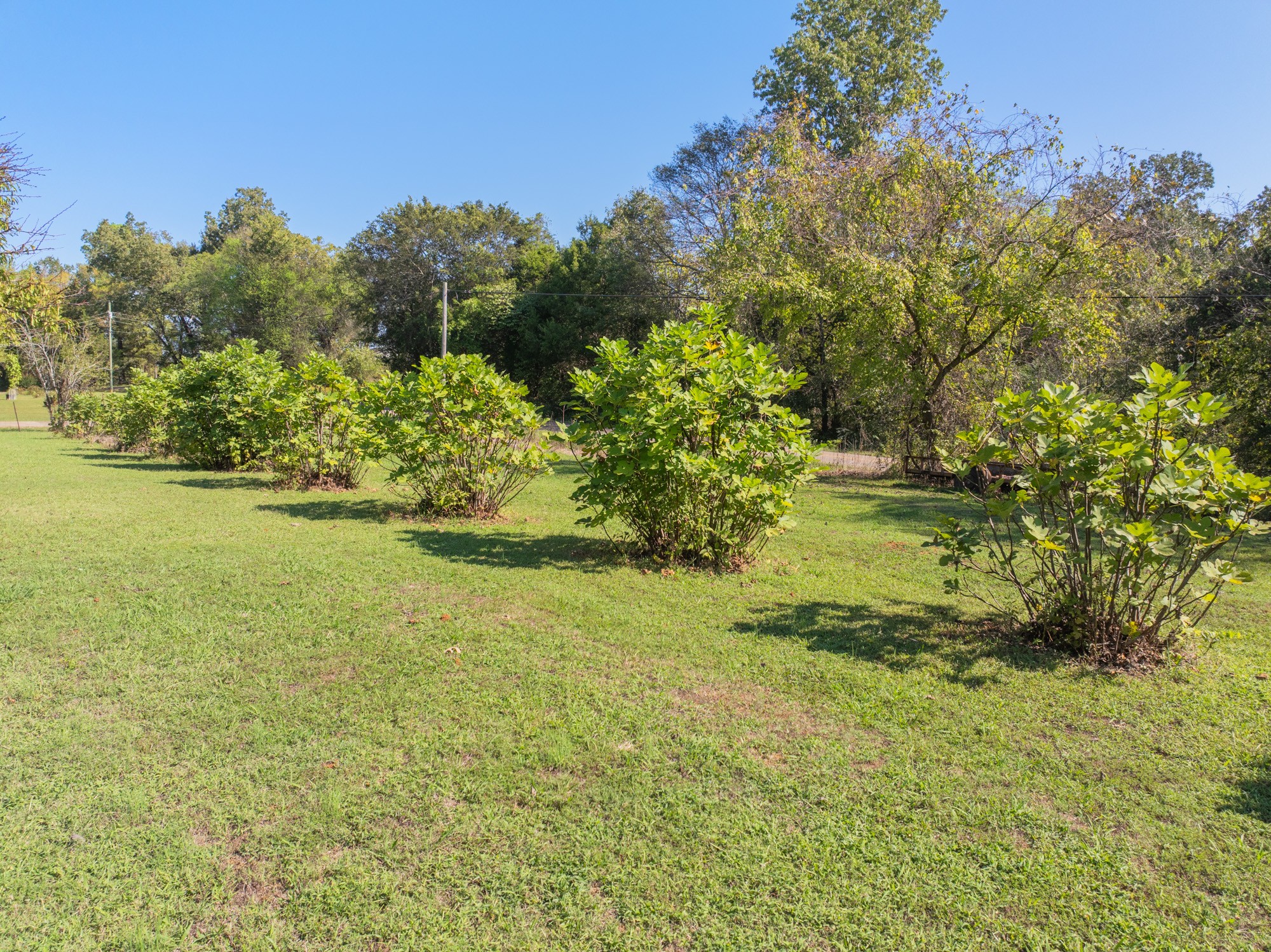 0 Mt Carmel Road Decaturville, TN 38329 - Photo 16 of 17