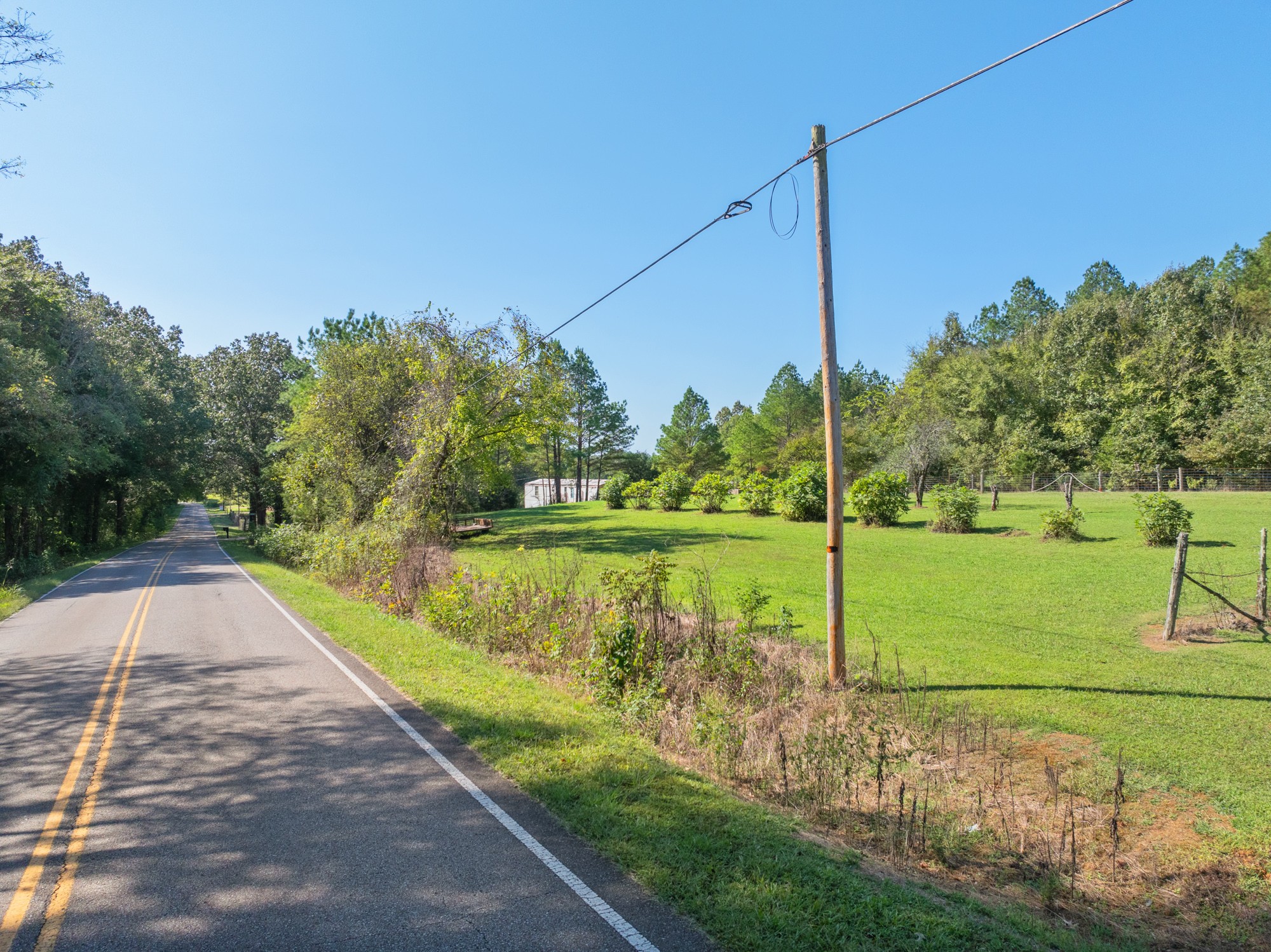 0 Mt Carmel Road Decaturville, TN 38329 - Photo 5 of 17