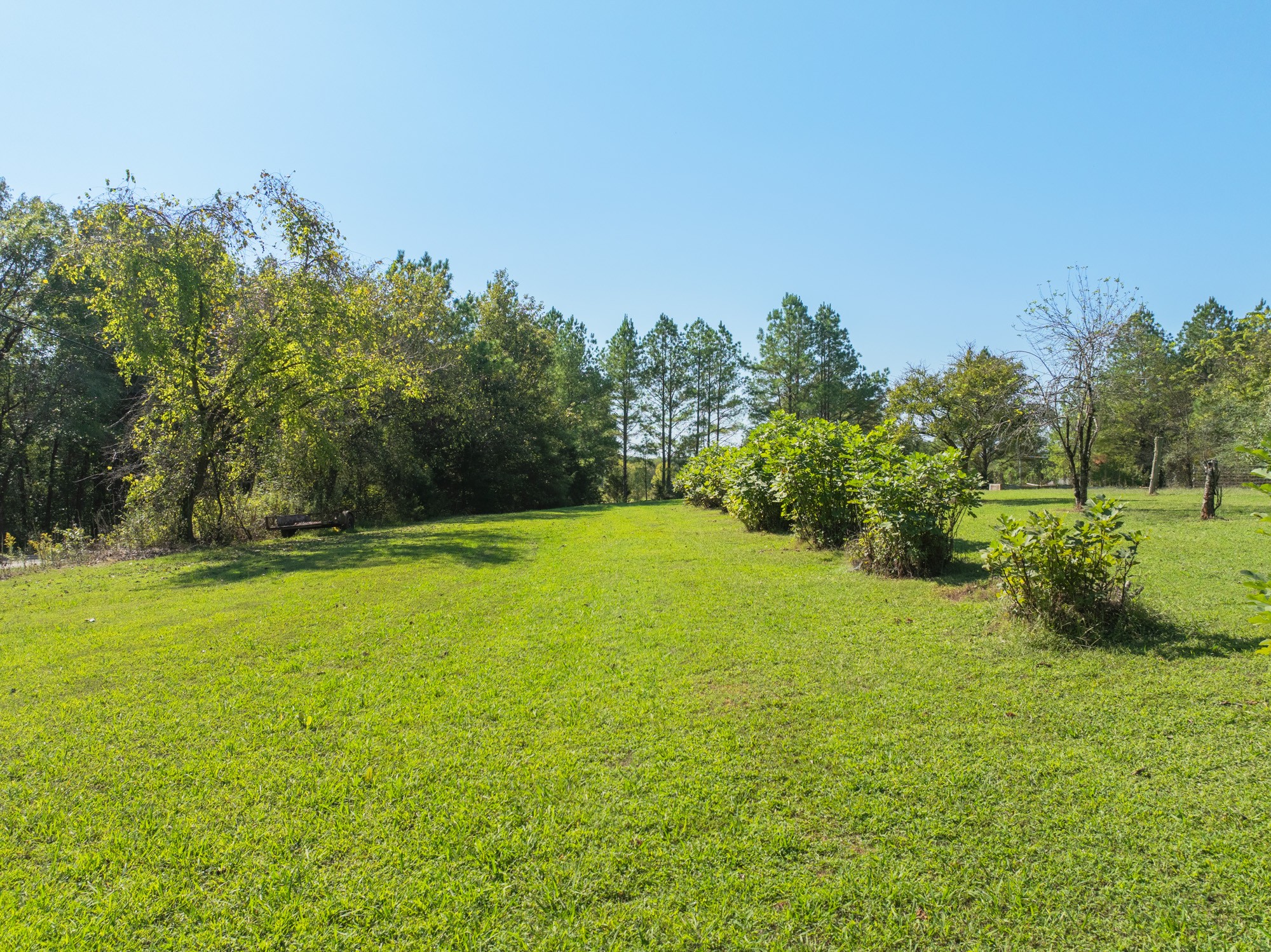 0 Mt Carmel Road Decaturville, TN 38329 - Photo 6 of 17