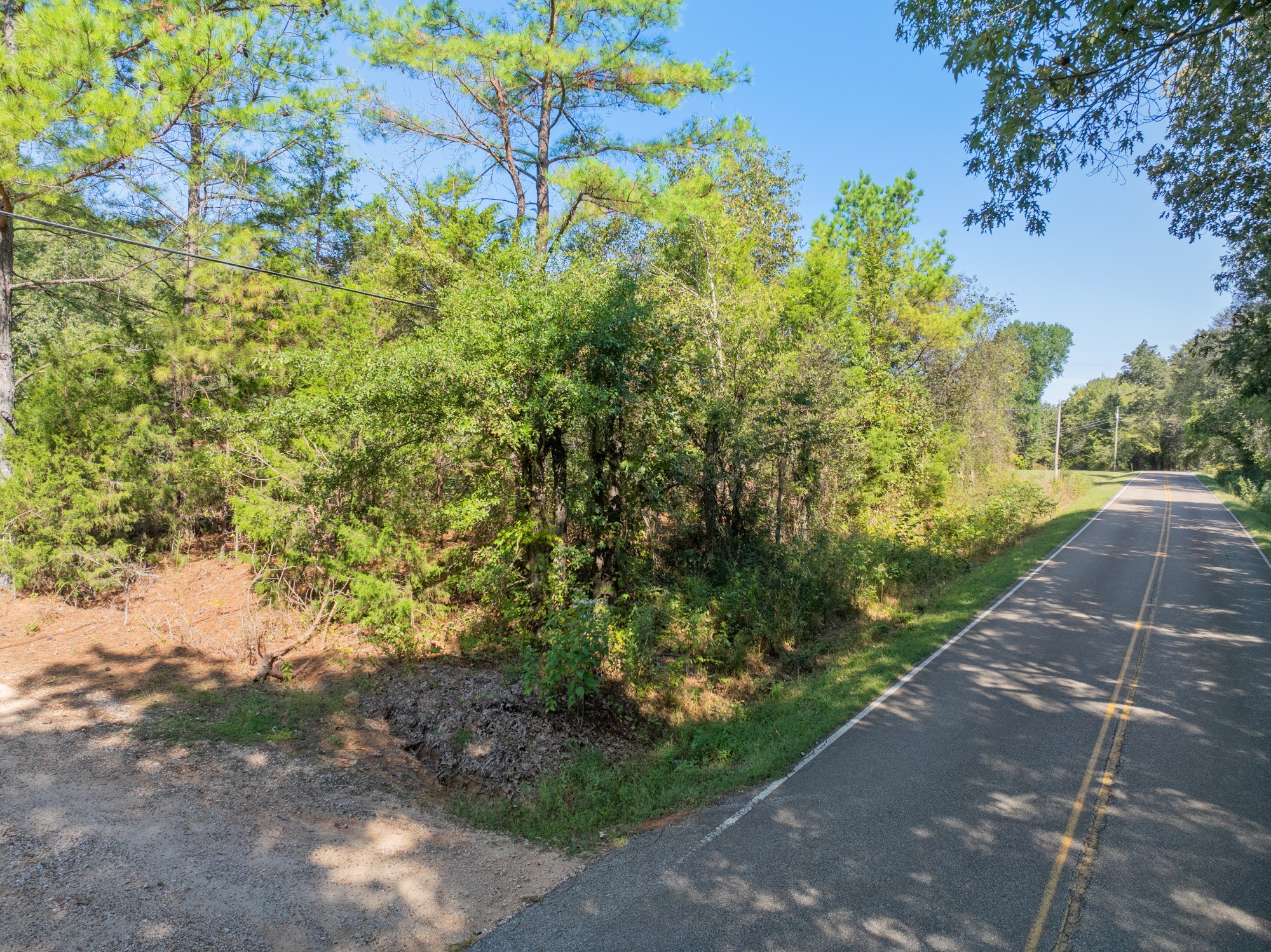 0 Mt Carmel Road Decaturville, TN 38329 - Photo 7 of 17