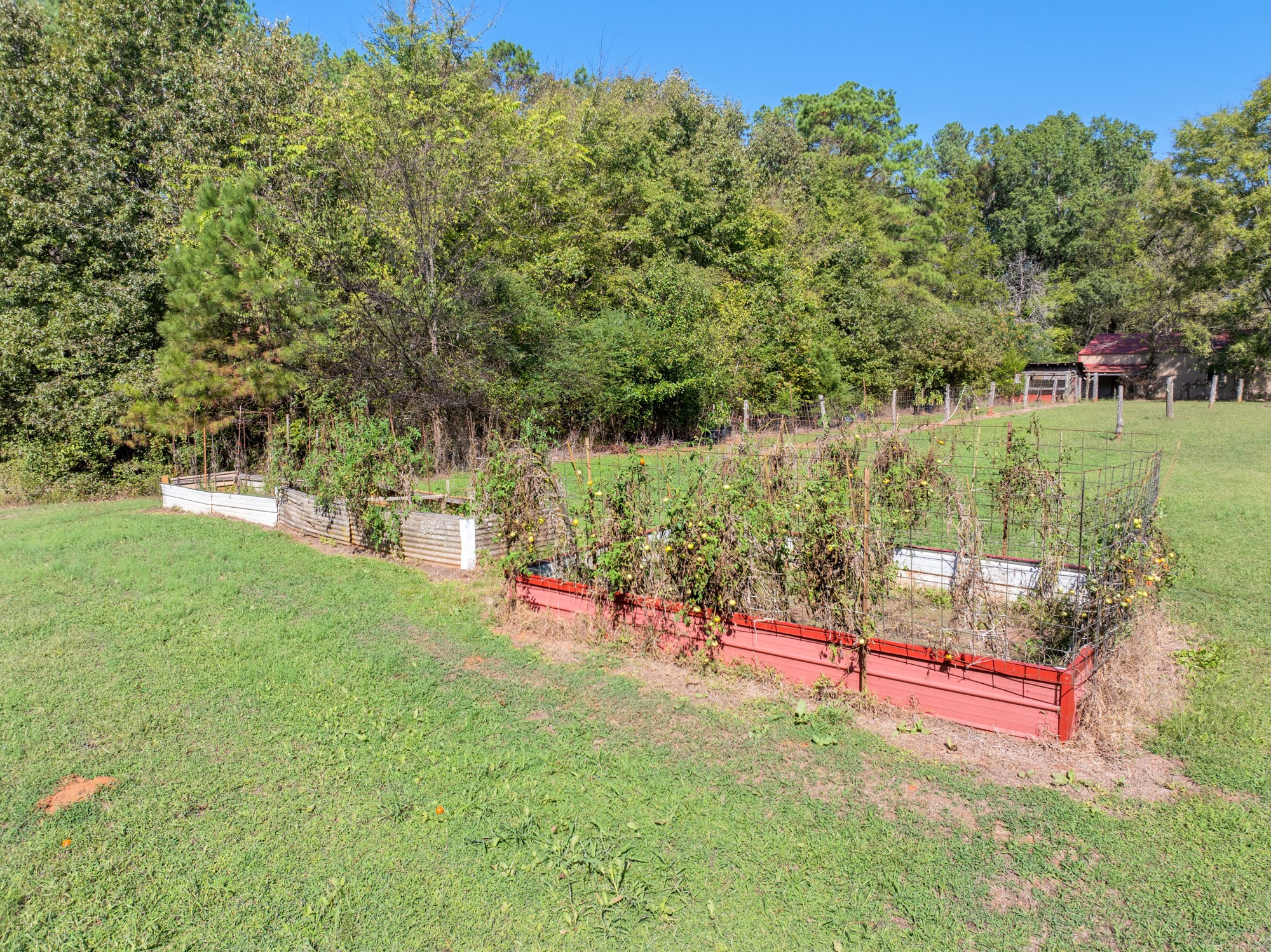 0 Mt Carmel Road Decaturville, TN 38329 - Photo 8 of 17