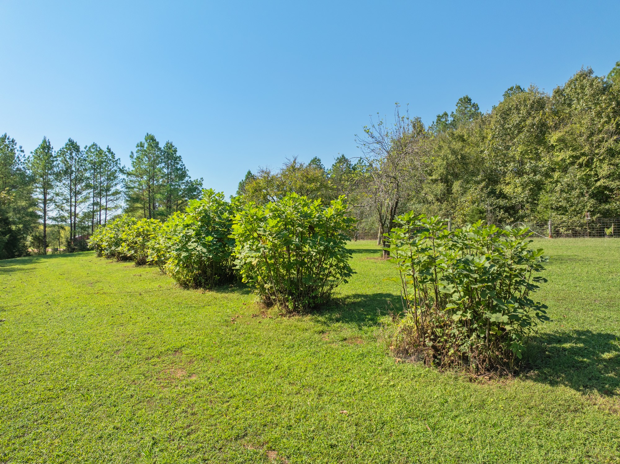 0 Mt Carmel Road Decaturville, TN 38329 - Photo 9 of 17