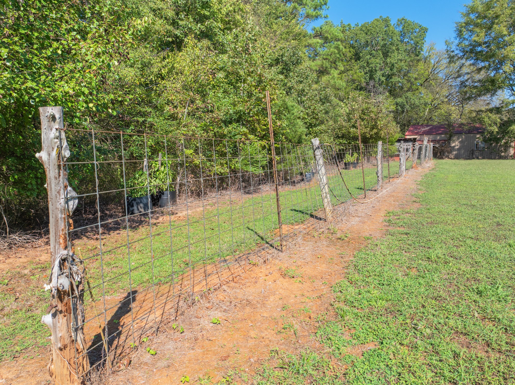 0 Mt Carmel Road Decaturville, TN 38329 - Photo 10 of 17