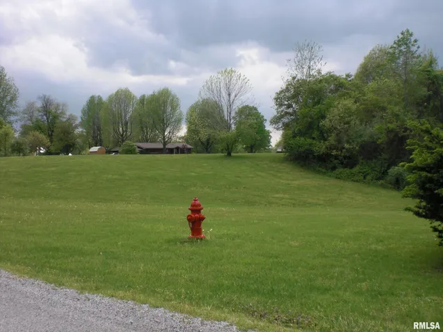 a view of a ground with huge green field and trees