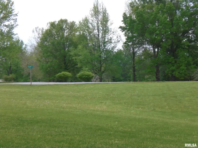 a view of a field with trees