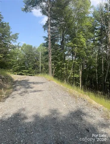 a view of outdoor space with lots of trees