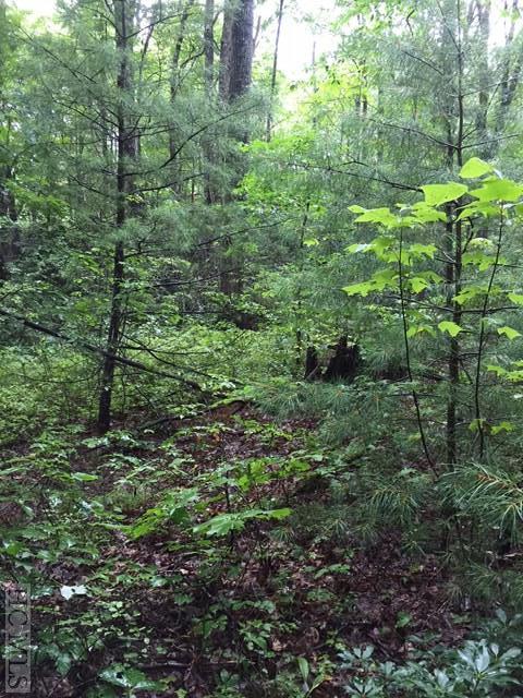 Lot 19 Southeast Ridge Road Cashiers, NC 28717 - Photo 1 of 1 Gallery Image 1