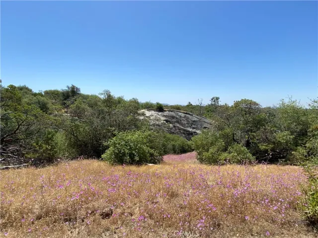 $165,000 | 0 Flying O Ranch Road, Coarsegold, CA 93614