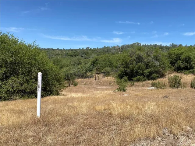$165,000 | 0 Flying O Ranch Road, Coarsegold, CA 93614