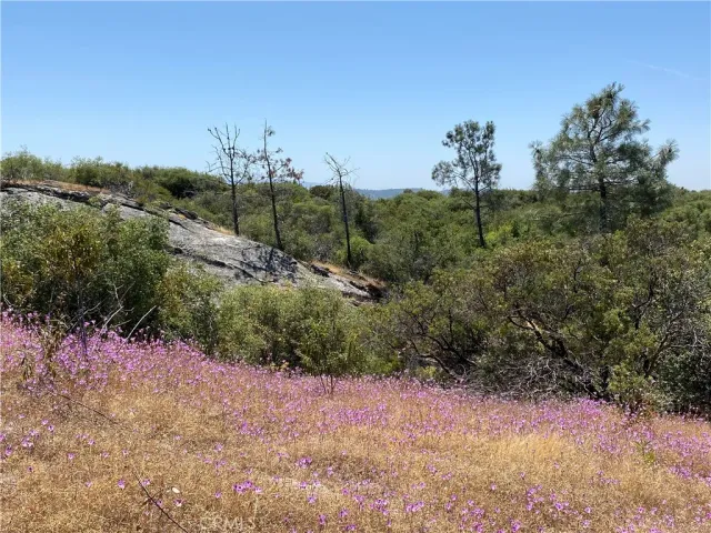 $165,000 | 0 Flying O Ranch Road, Coarsegold, CA 93614